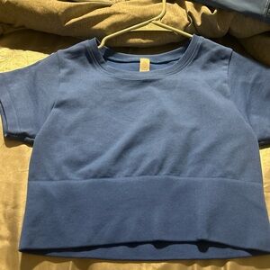 Aerie Blue Short Sleeve Tee